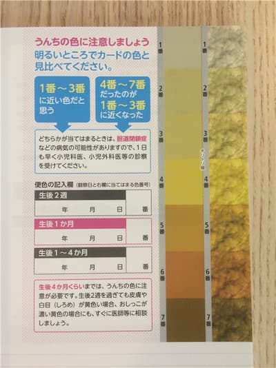 日本の母子手帳のカラーページ