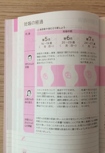 日本の母子手帳の妊娠経過表