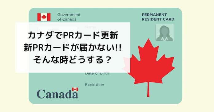 カナダでのPRカード（永住者カード）更新時に新しいカードが届かない場合の対処法